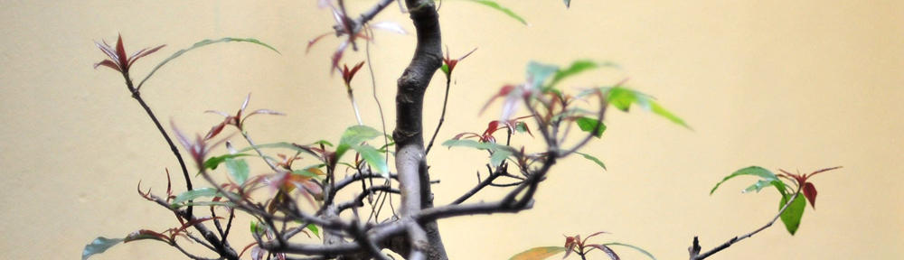 Living in Highland Park